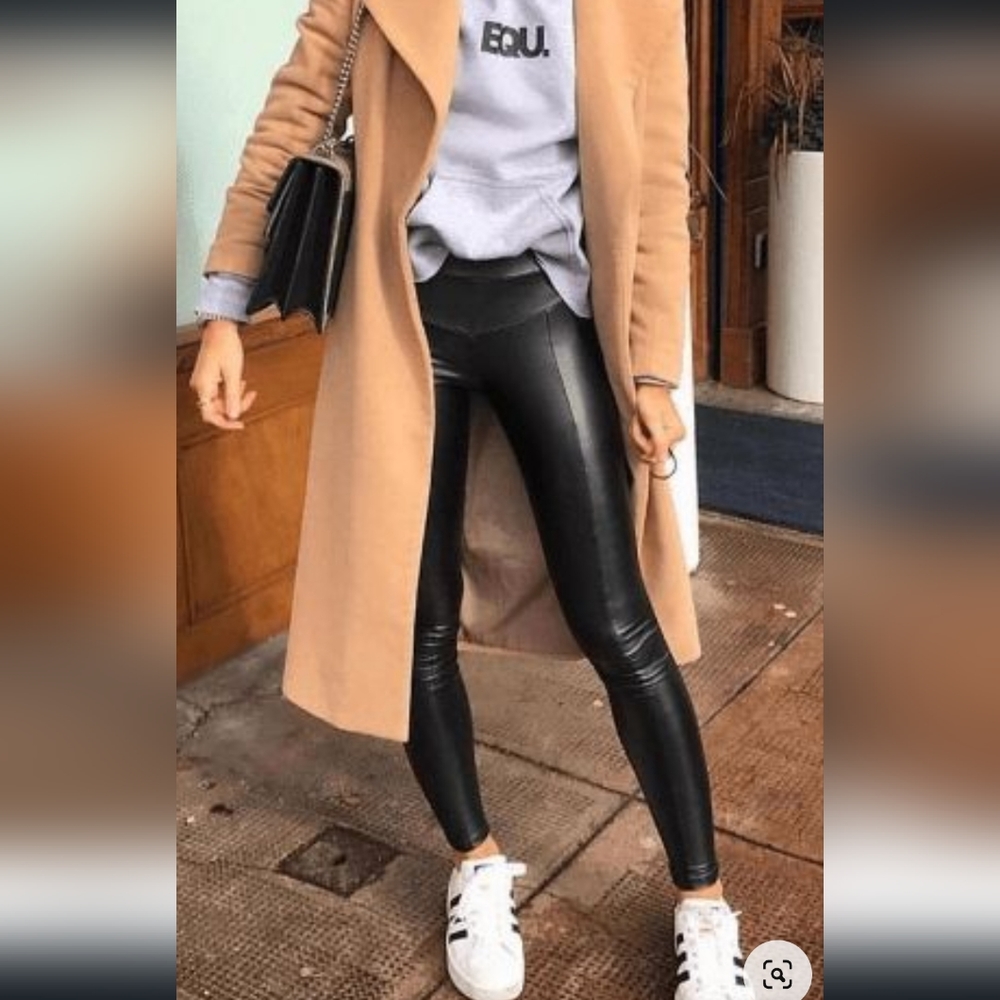 Zara Vegan leather FLEECE lined pants.
